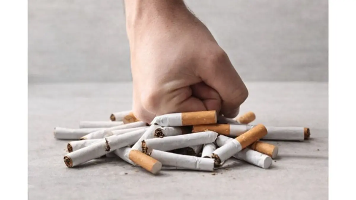 Philip Morris India Reinforces its Commitment to Collective Action & Government Collaboration to Restrict Illicit Tobacco Trade Philip Morris India Reinforces its Commitment to Collective Action & Government Collaboration to Restrict Illicit Tobacco Trade