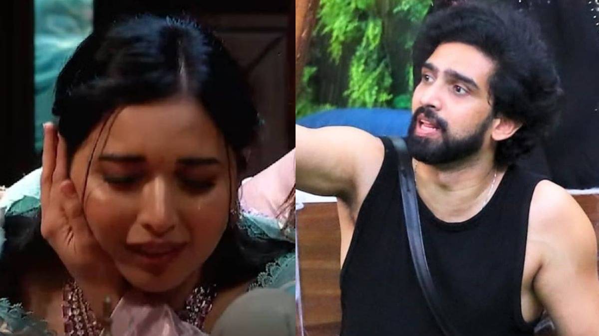 Description of the pic