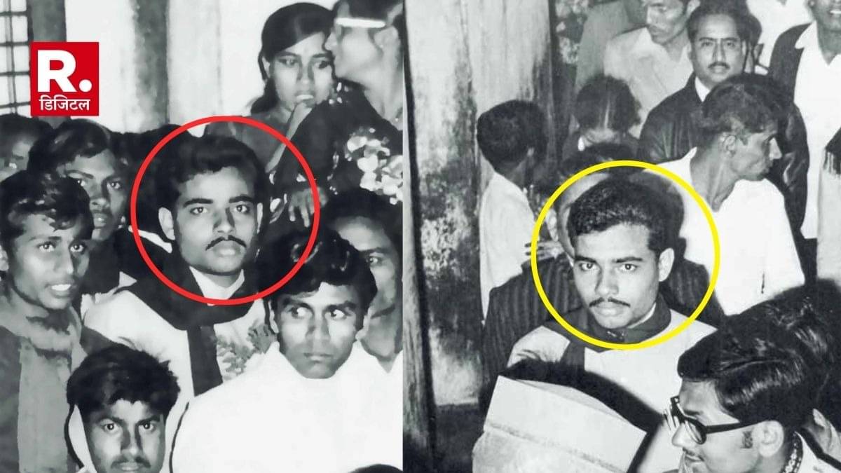 Description of the pic