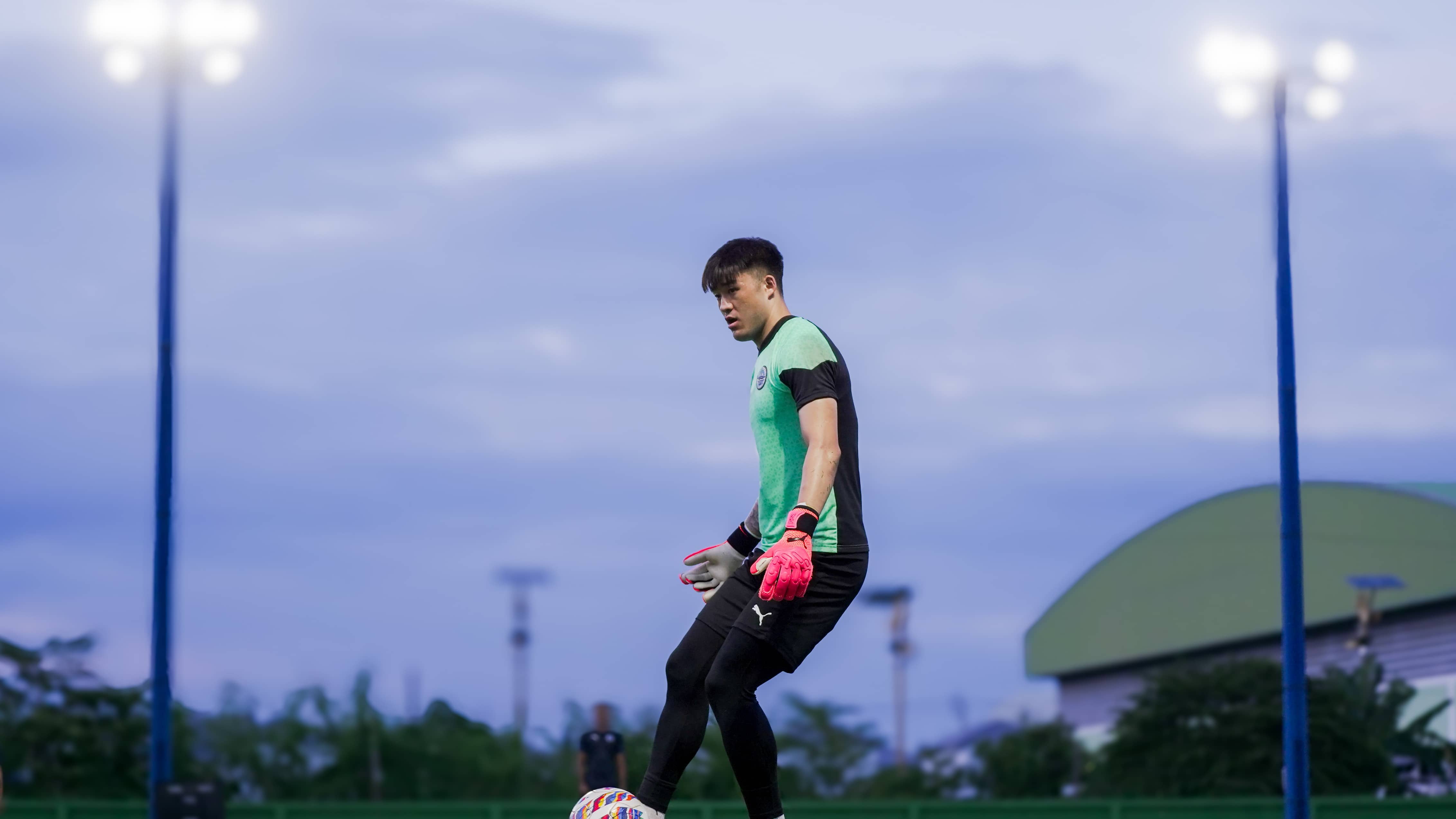 Description of the pic