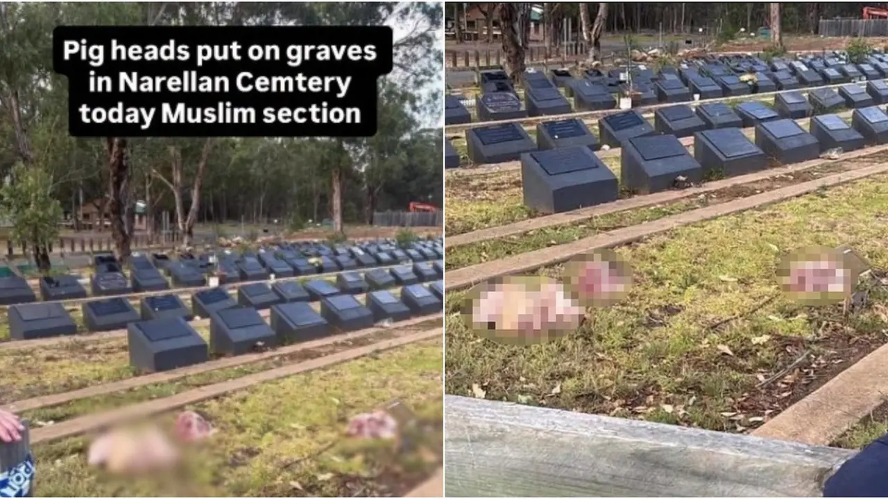Pig Heads Thrown On Muslim Graves in Sydney Hours After Bondi Beach Terror Attack: Reports