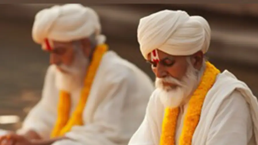 Description of the pic