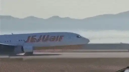 South Korea Plane With 181 Onboard Crashes at Muan Airport, 28 Killed