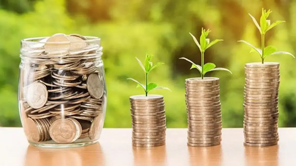 Planning a Rakhi Gift? Invest in FDs with These Attractive Interest Rates Planning a Rakhi Gift? Invest in FDs with These Attractive Interest Rates