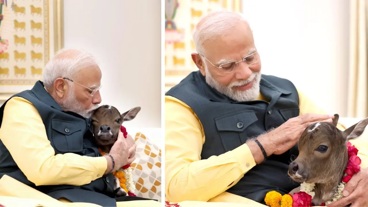 PM Modi