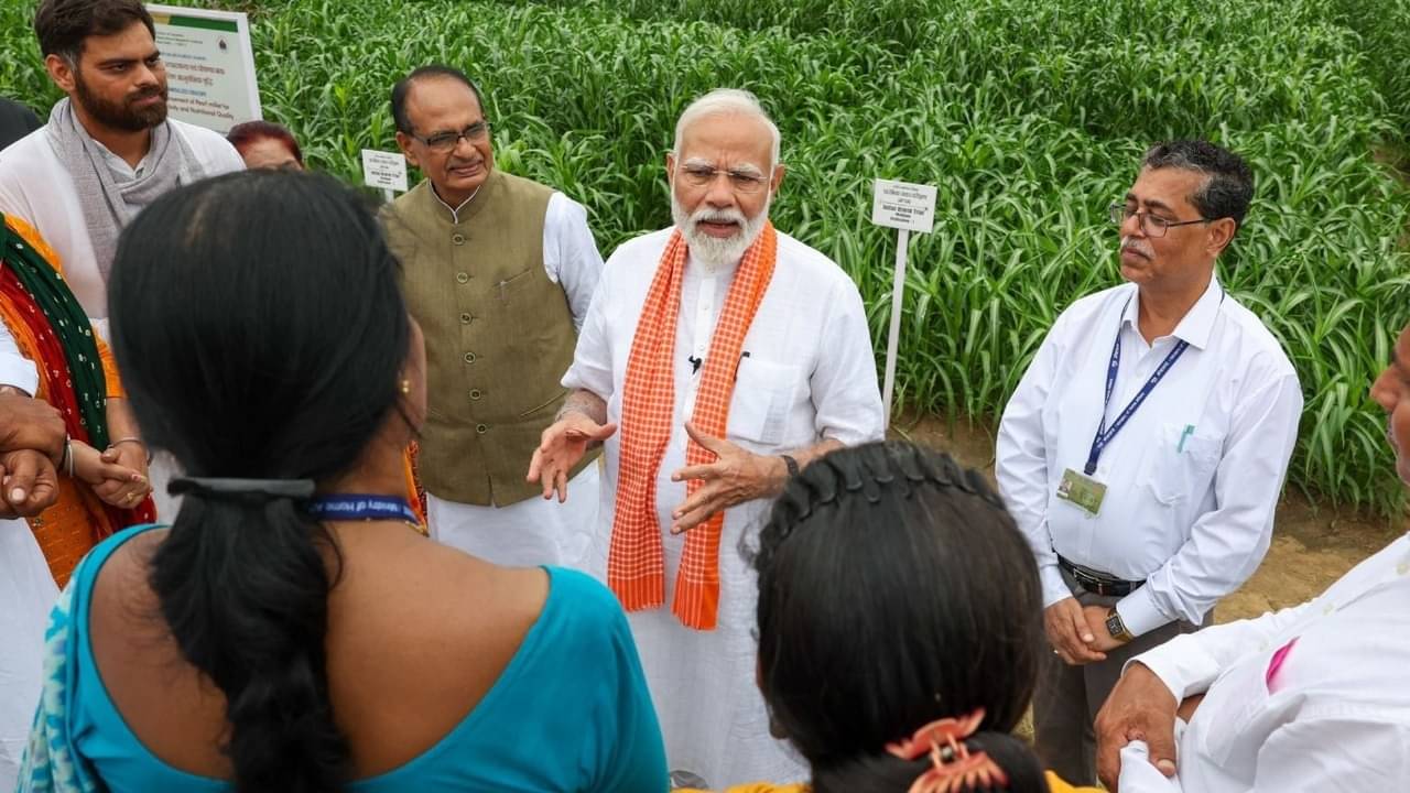 Description of the pic