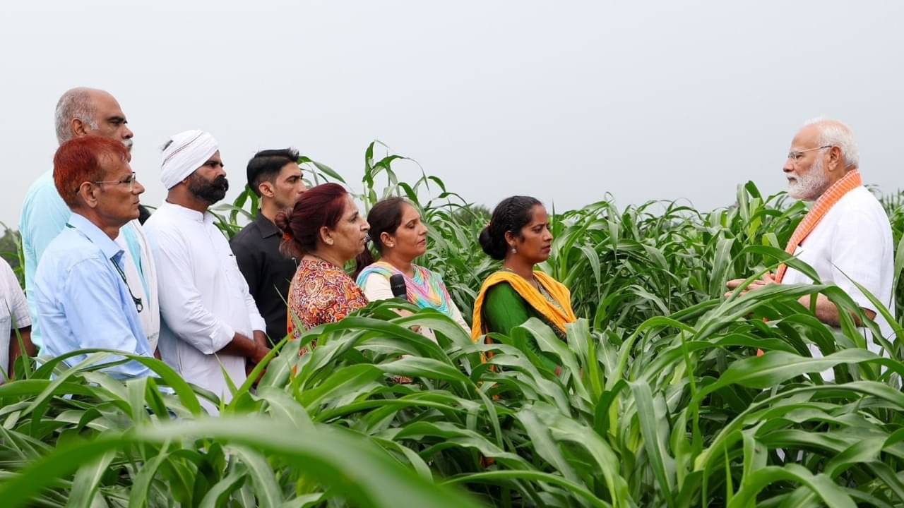 Description of the pic