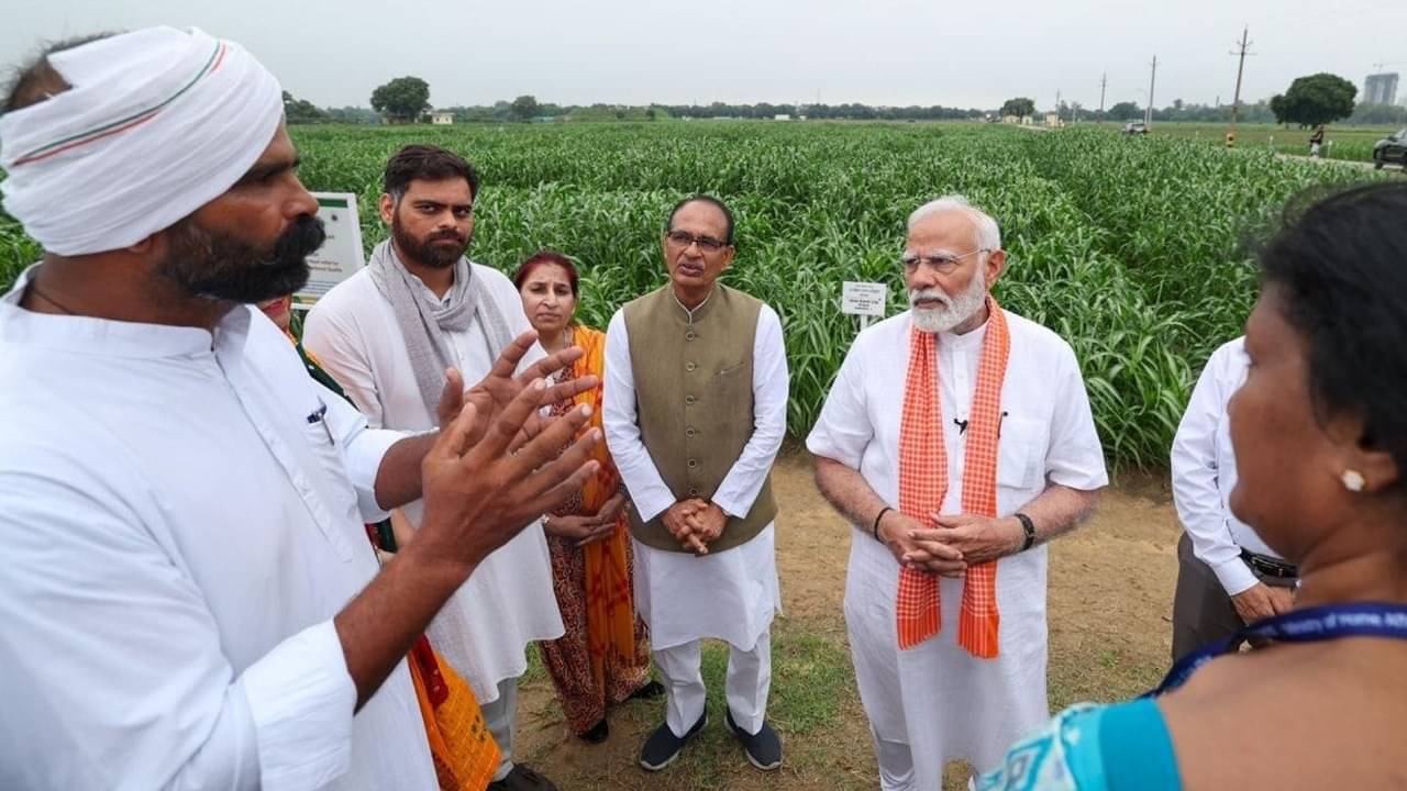 Description of the pic