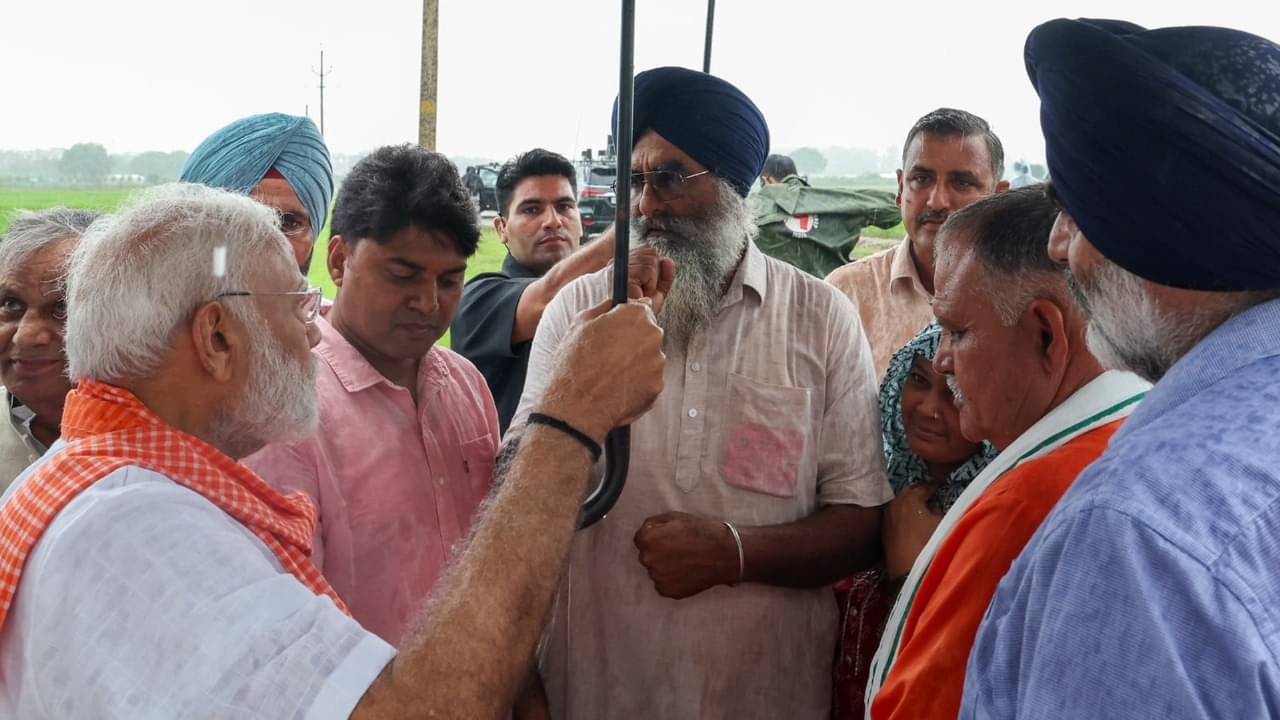 Description of the pic