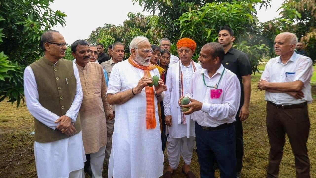 Description of the pic