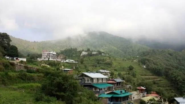 Top Birdwatching Destinations In India Pongat, West Bengal