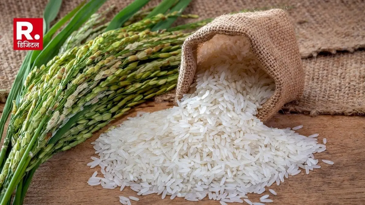 Poor Pakistan will supply rice to Bangladesh
