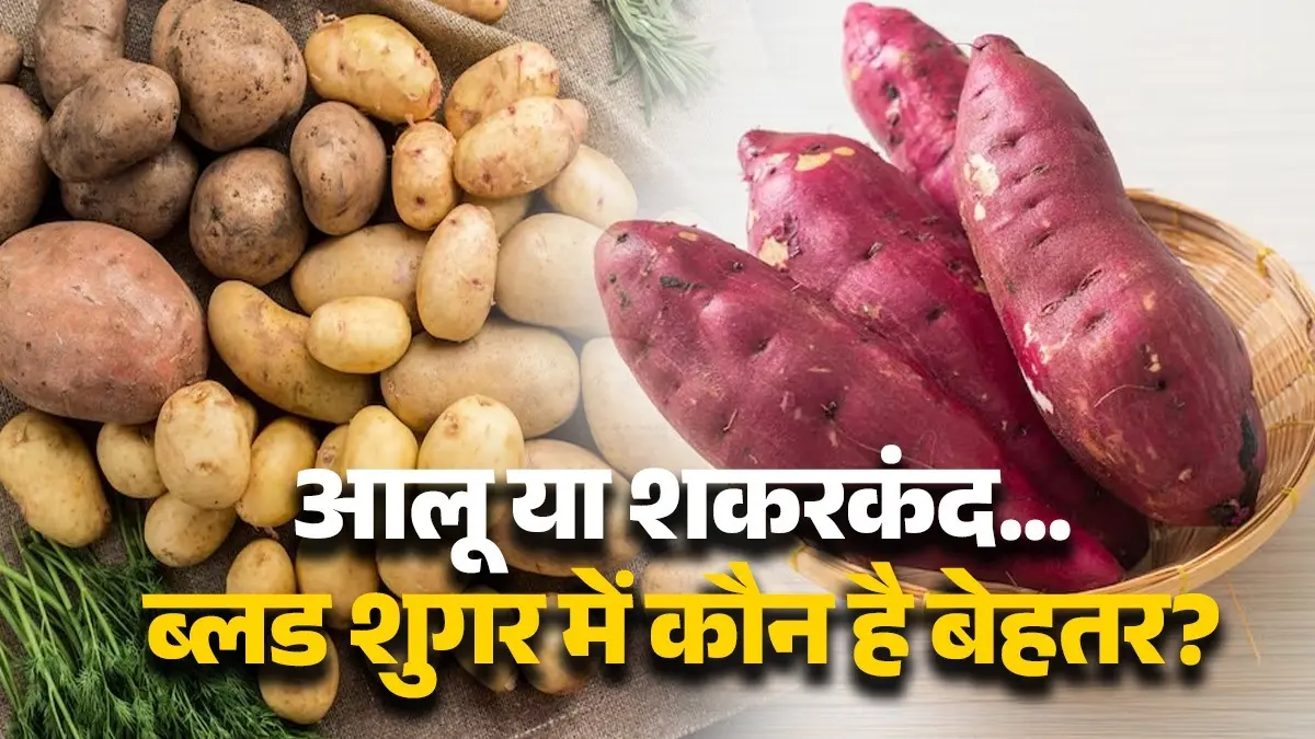 Potato VS Sweet Potato: आलू या फिर शकरकंद...ब्लड शुगर में कौन है सबसे ज्यादा फायदेमंद? Potato VS Sweet Potato