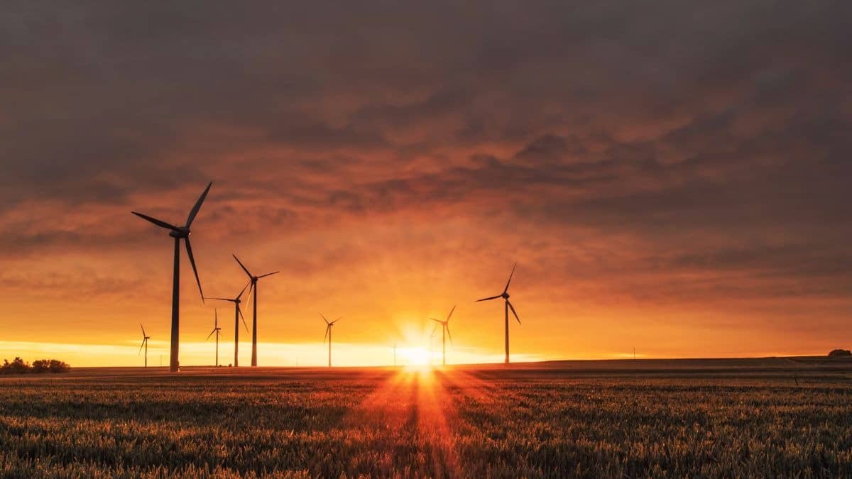 Power Finance Corporation REC Ltd  power sector