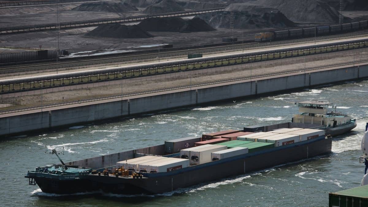 power plants to reduce thermal coal imports 