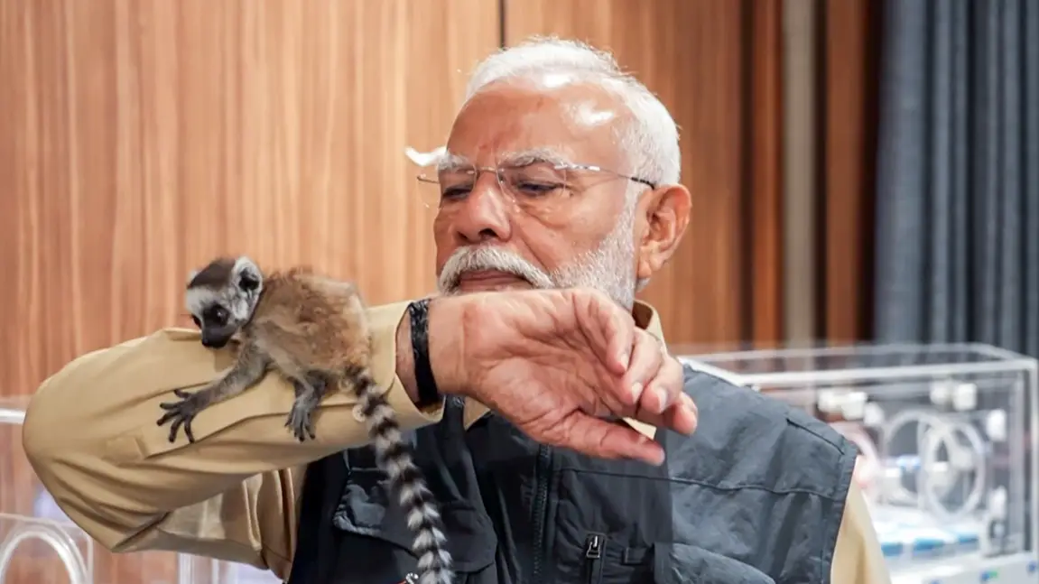 Description of the pic