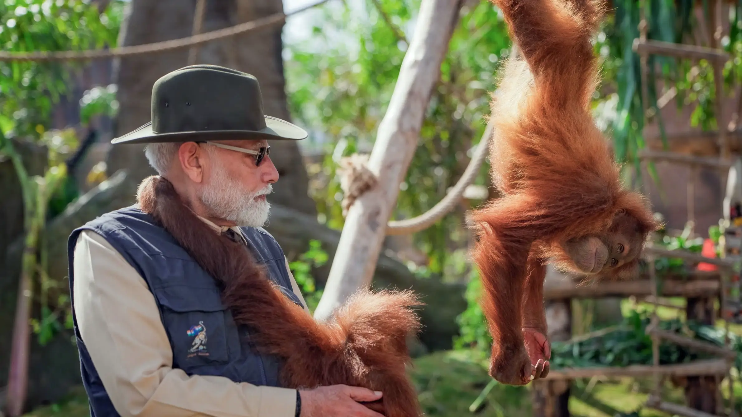 Description of the pic