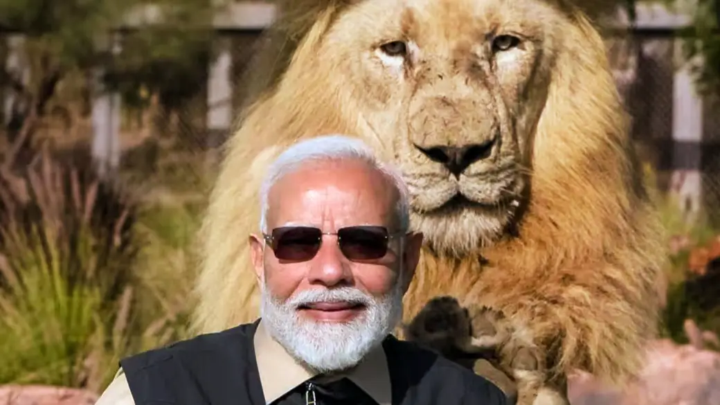 Description of the pic