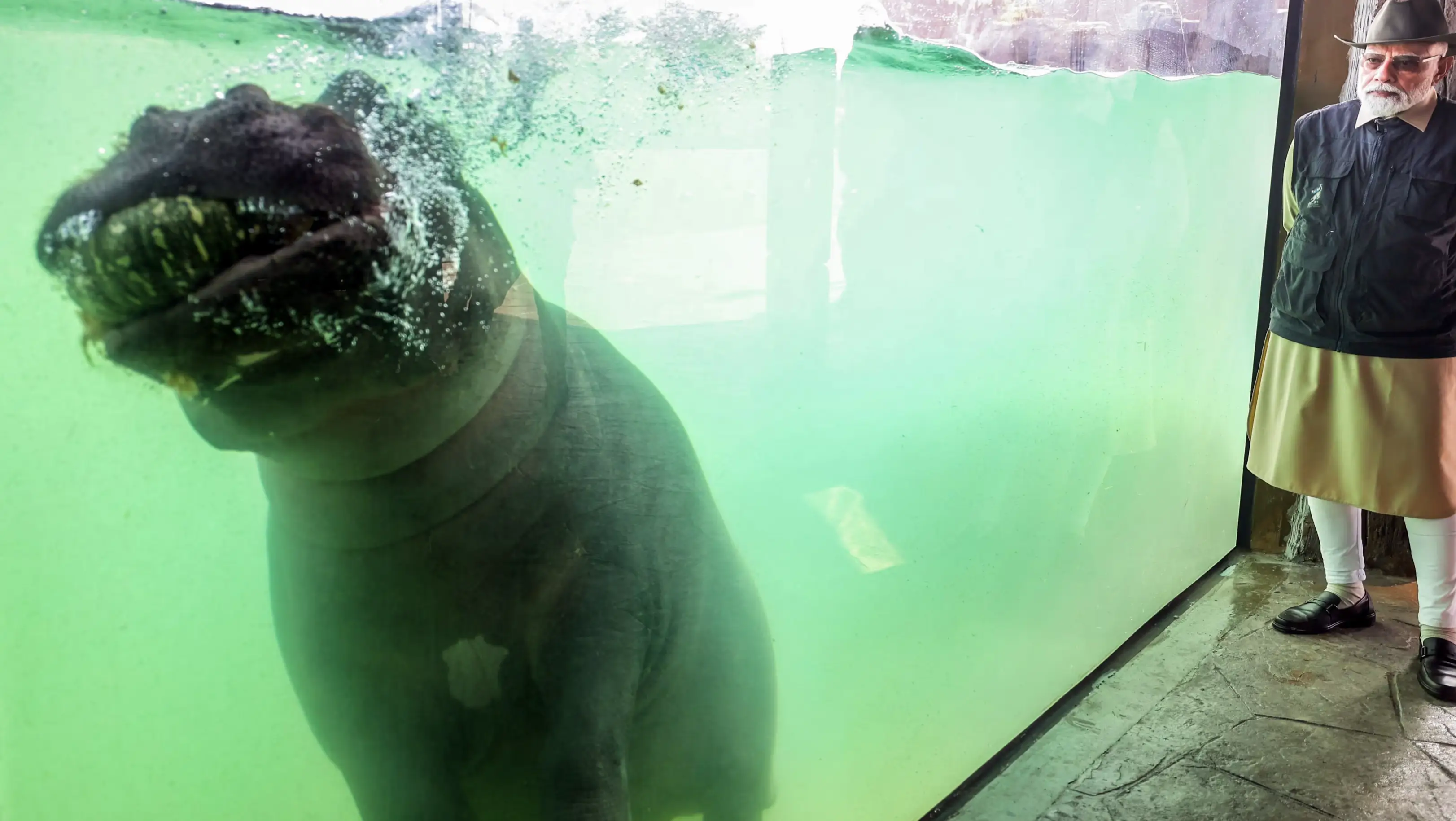 Description of the pic