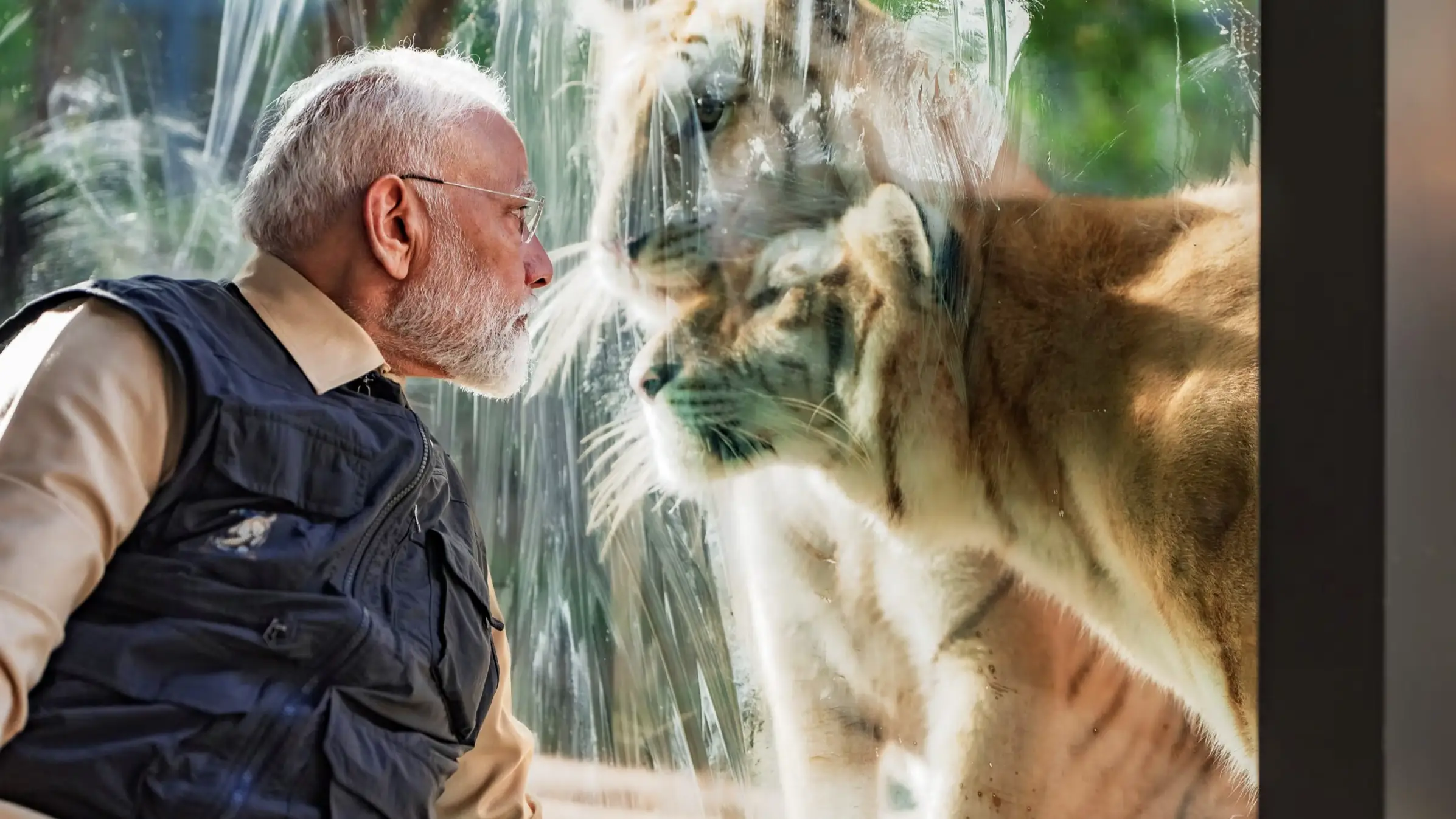 Prime Minister Narendra Modi with tigers during his visit to the wildlife rescue, rehabilitation, and conservation centre, Vantara