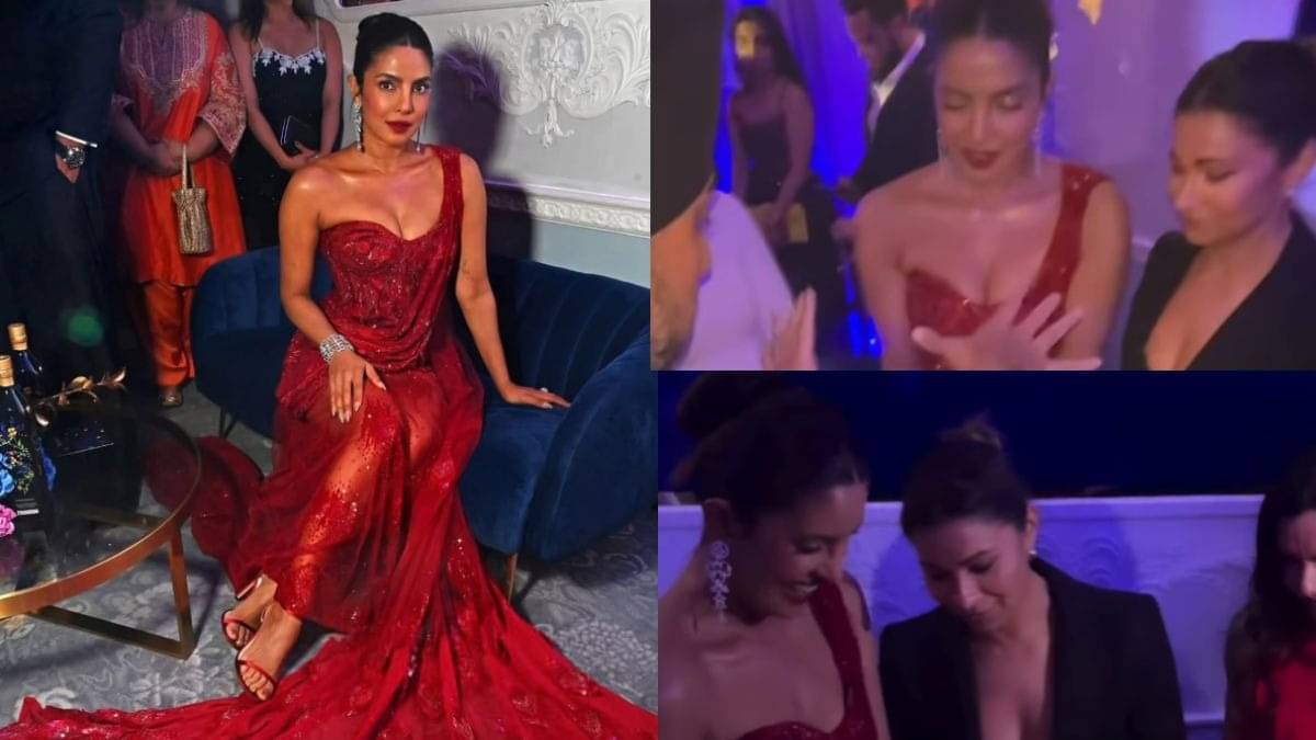 Description of the pic