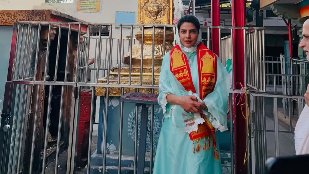 Description of the pic