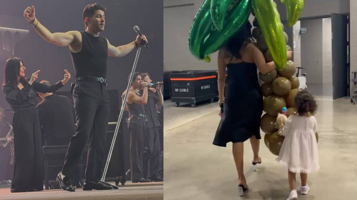 Description of the pic