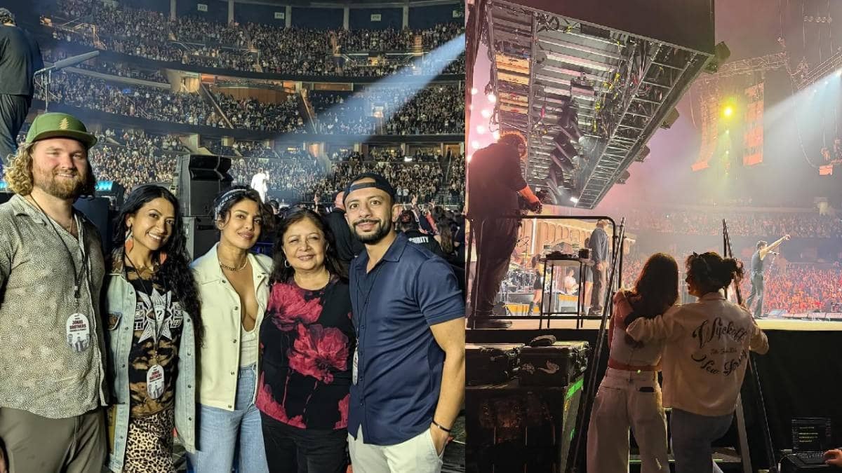 Description of the pic