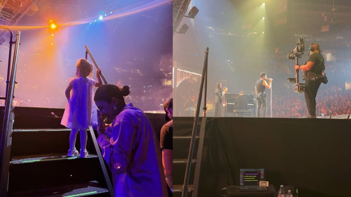 Description of the pic