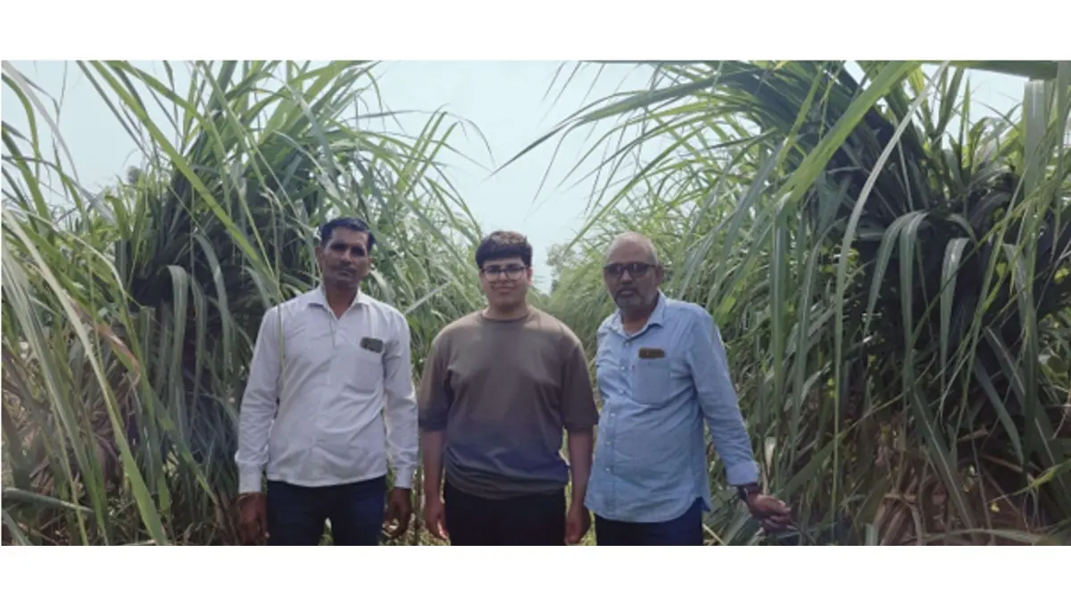 Project 101 (Ek Sau Ek): Advancing Sugarcane Productivity And Rural Livelihoods