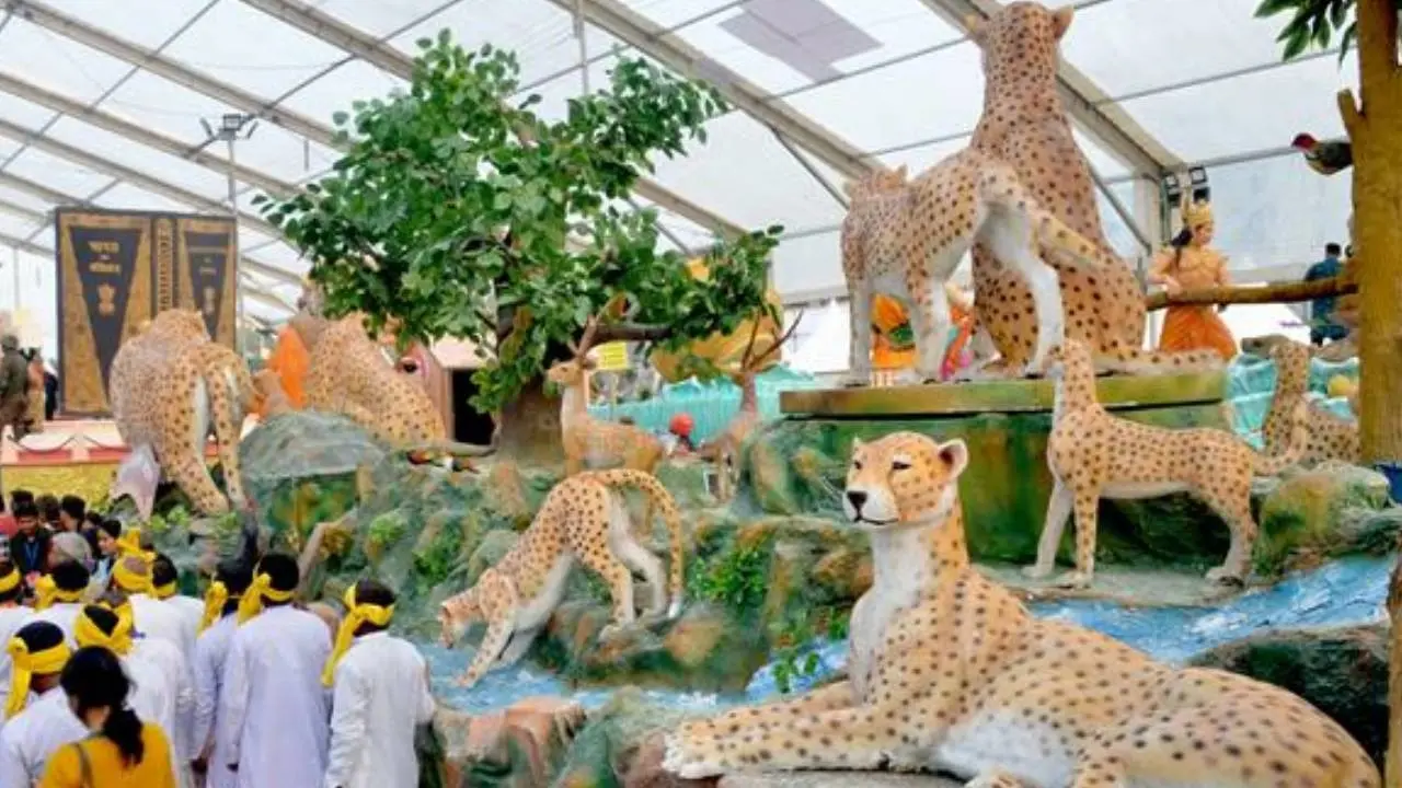 Project Cheetah glimpse will be seen in Madhya Pradesh tableau