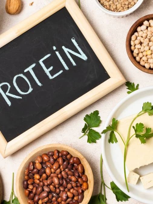 protein rich food for vegetarians or vegan from plants
