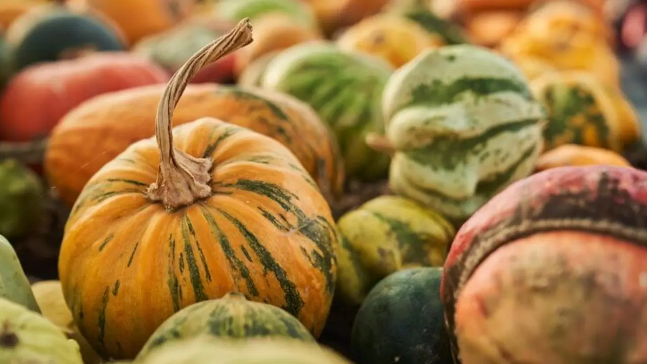 Pumpkin Health Benefits