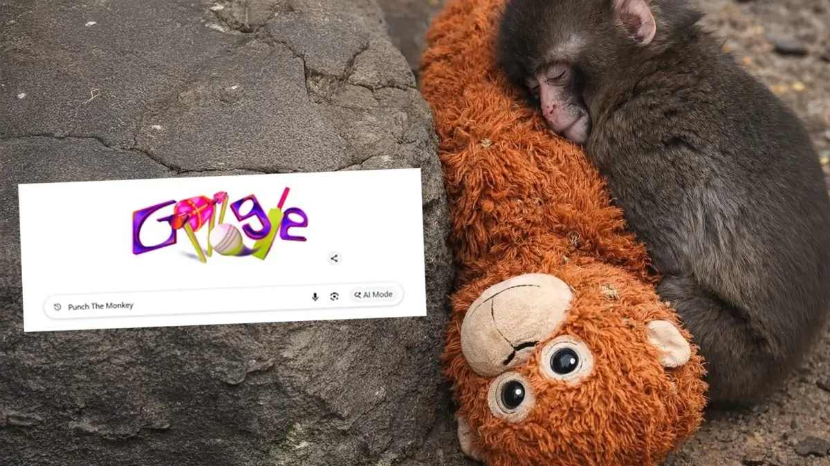 Punch The Monkey: इंटरनेट पर छाया मासूम बंदर, जापान के 'मंकी पंच' पर अब GOOGLE का भी आया दिल; जानें Viral Video की असली कहानी punch the monkey animation by google charms internet by million likes