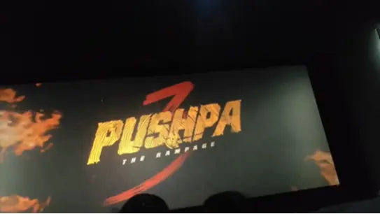 Pushpa 3 the rampage