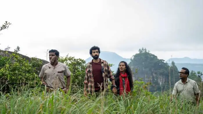 Description of the pic