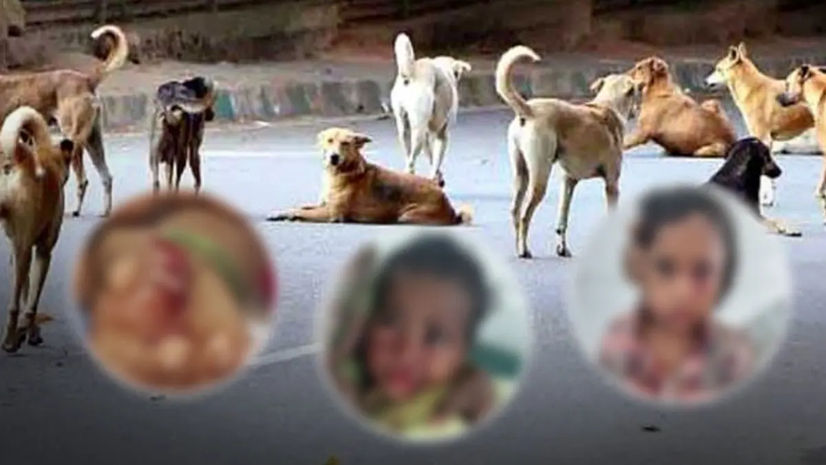 Rabies Scare As Stray Dog Bites 10 Children In Karnataka’s Bagalkote