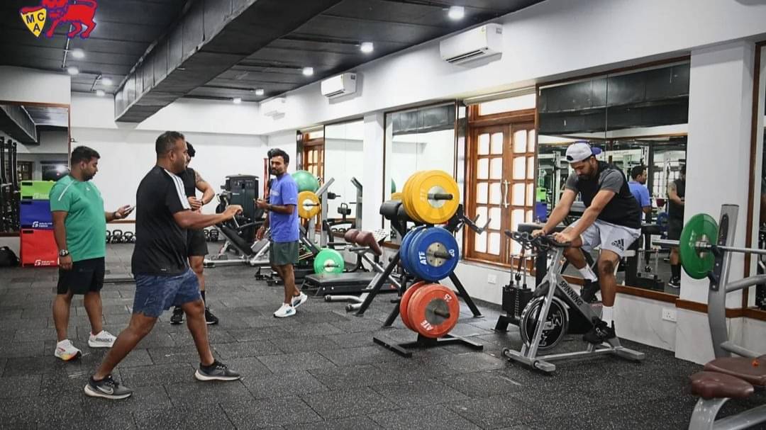 Description of the pic