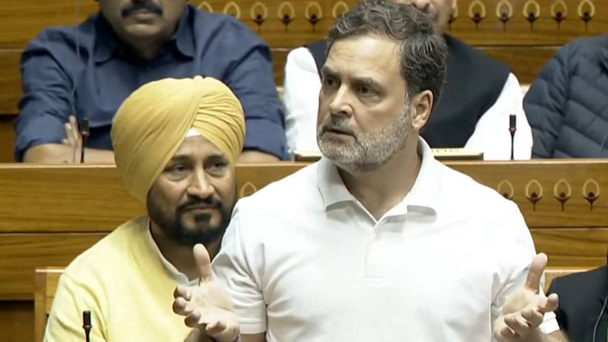 Rahul Gandhi In Lok Sabha