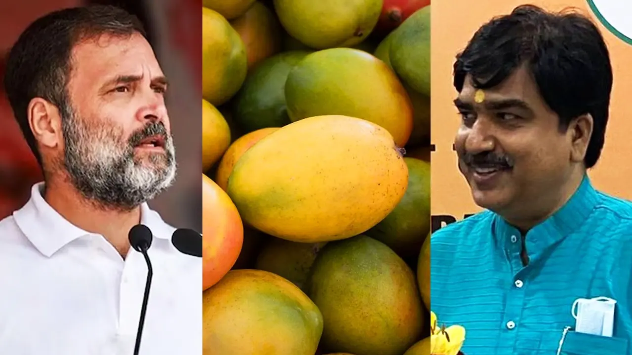 Rahul Gandhi, Mango, Prem Shukla