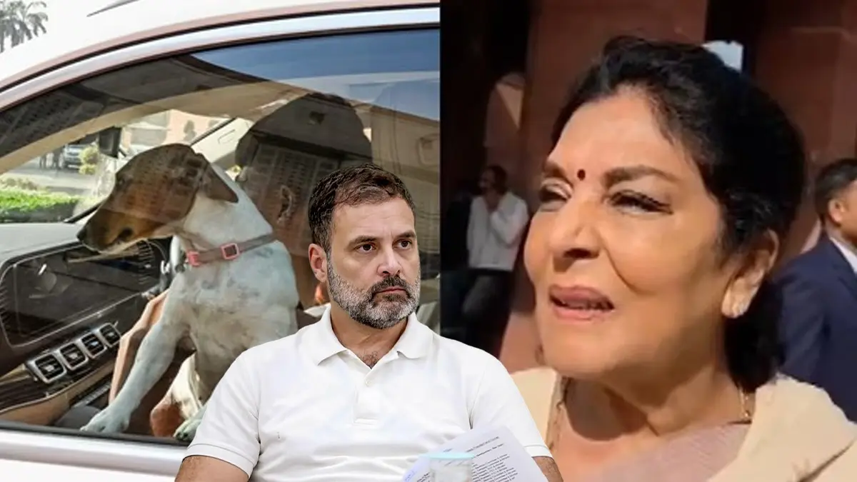 Rahul Gnadhi on Dog Row