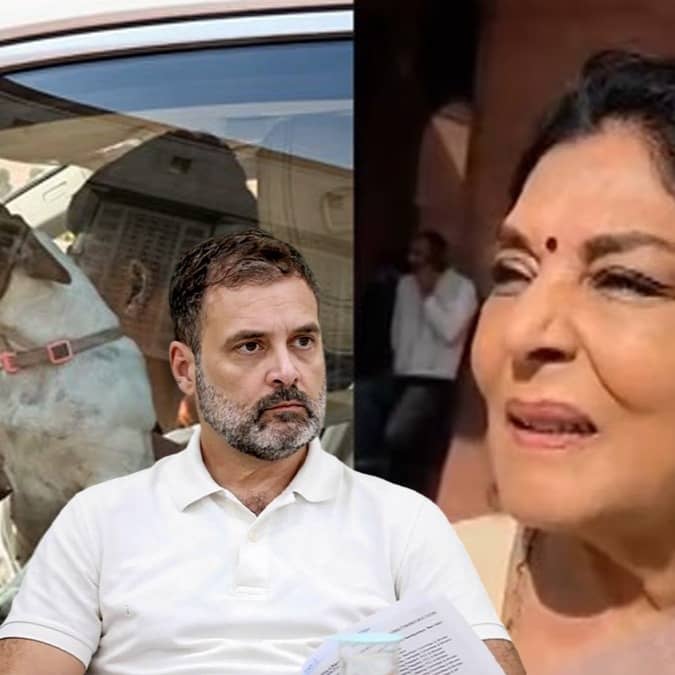 Rahul Gnadhi on Dog Row