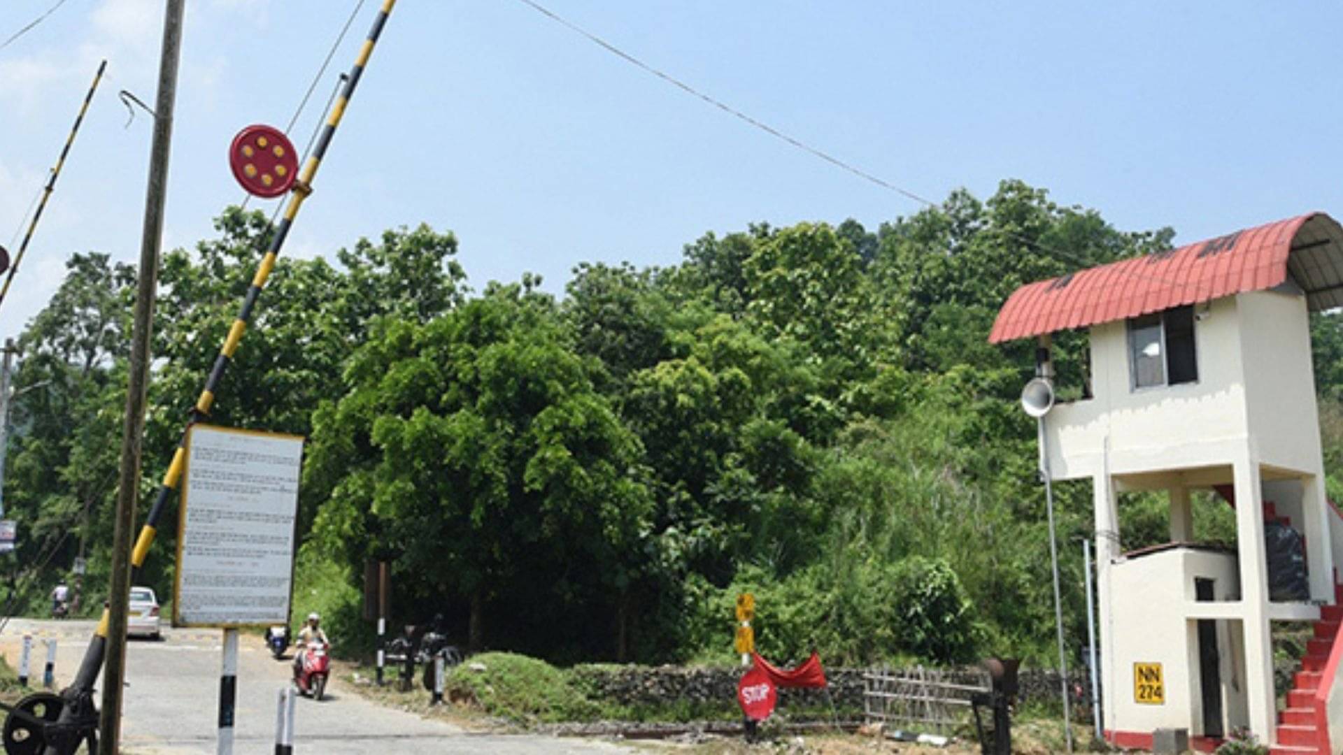 Description of the pic