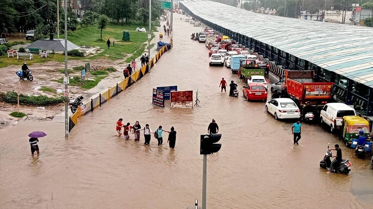 Description of the pic