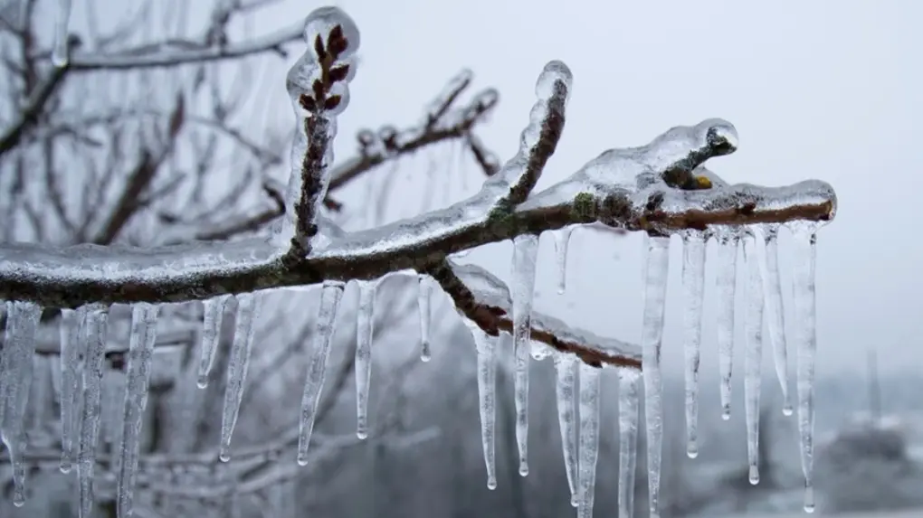Rain Turns to Ice, Cuts Power for Thousands in Michigan, Wisconsin; Tennessee Faces Severe Storm Threat Rain Turns to Ice, Cuts Power for Thousands in Michigan, Wisconsin; Tennessee Faces Severe Storm Threat