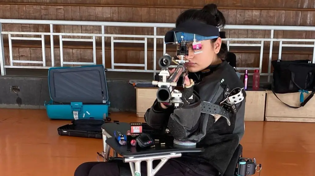 Description of the pic