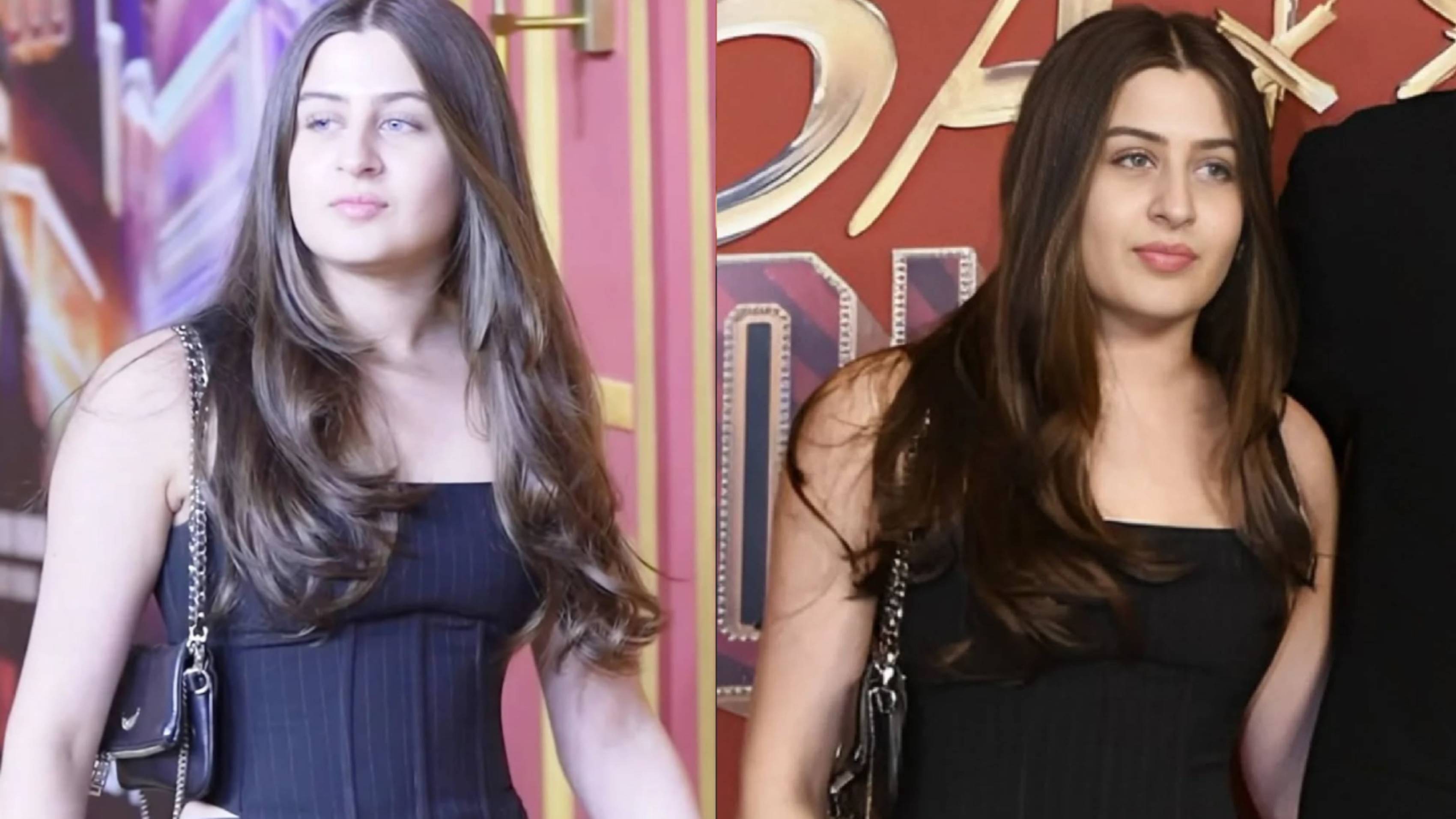 Description of the pic