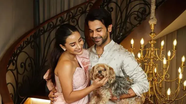 Rao Rashid Home Inside Stree 2 Star Rajkummar Rao's ₹45 Crore Minimalist Home With A ...