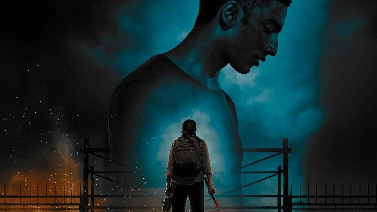 Description of the pic