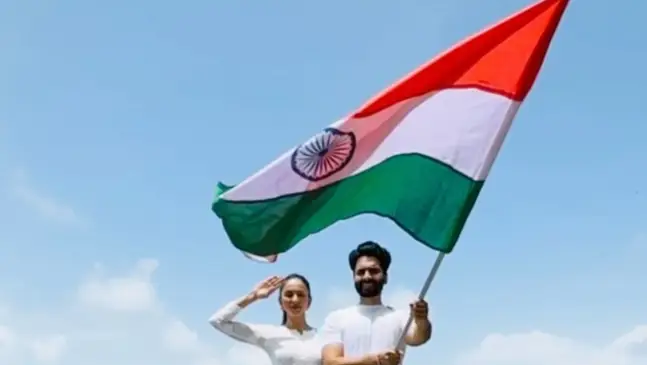 Description of the pic